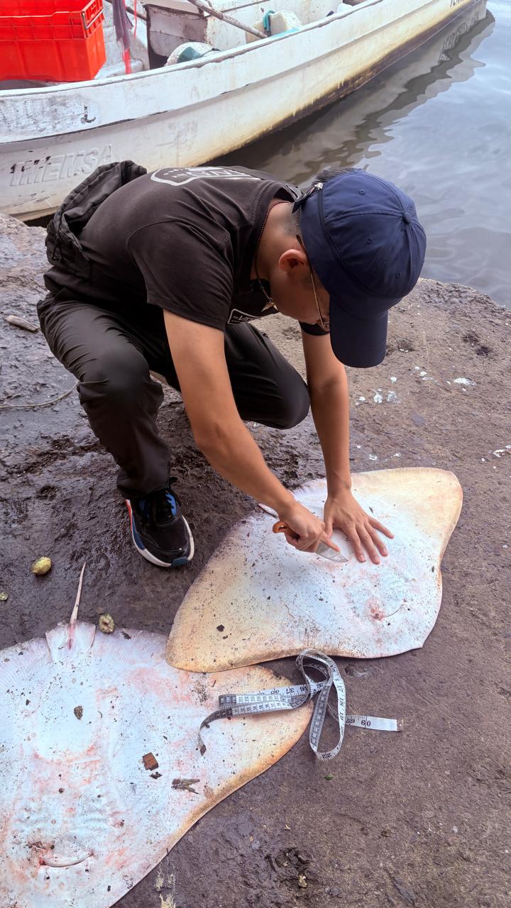 Exposición fotográfica